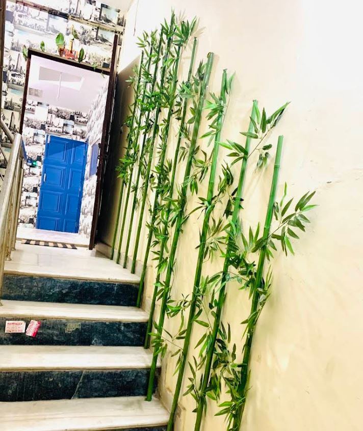 A Calm, Green Entrance